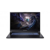 Dream Machines Ноутбук G1650-17 17.3FHD IPS, Intel i5-13500H, 16GB, F1TB, NVD1650-4, DOS, чорний