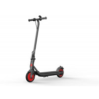 Електросамокат Segway-Ninebot C20, Black (AA.00.0011.54)