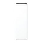 Морозильна камера Gorenje FNI518EA1  вбудована.