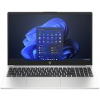 Ноутбук HP 255 G10 Turbo Silver (9G8F3ES)