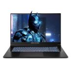 Dream Machines Notebook RG5070-17 17.3FHD IPS, Intel i9-14900HX, 32GB, F2TB, NVD5070-8, DOS, black