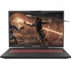 Dream Machines Ноутбук RX4080-17 17.3WQXGA IPS, Intel i9-13900HX, 32GB, F1TB, NVD4080-12, DOS, черный
