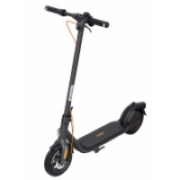 Segway Электросамокат Ninebot F2 PLUS E, черный