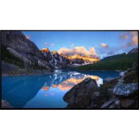 Dell Монитор LCD 23.8" U2422HWOS