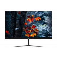 2E Монитор LCD 23.8" C2420B