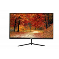 2E Монитор LCD 23.8" D2421B