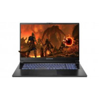 Dream Machines Ноутбук RG4060-17 17.3FHD IPS, Intel i7-13620H, 32GB, F1TB, NVD4060-8, DOS, черный