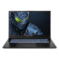 Dream Machines Notebook RG5050-17 17.3FHD IPS, Intel i9-14900HX, 32GB, F1TB, NVD5050-8, DOS, black