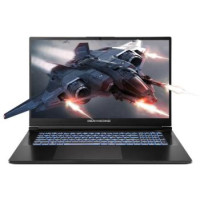 Dream Machines Notebook RG5060-17 17.3FHD IPS, Intel U9-275HX, 16GB, F1TB, NVD5060-8, DOS, black
