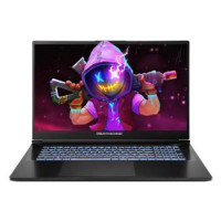 Dream Machines Notebook RG5070-17 17.3FHD IPS, Intel U9-275HX, 32GB, F2TB, NVD5070-8, DOS, black