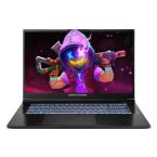 Dream Machines Notebook RG5070-17 17.3FHD IPS, Intel U9-275HX, 32GB, F2TB, NVD5070-8, DOS, black